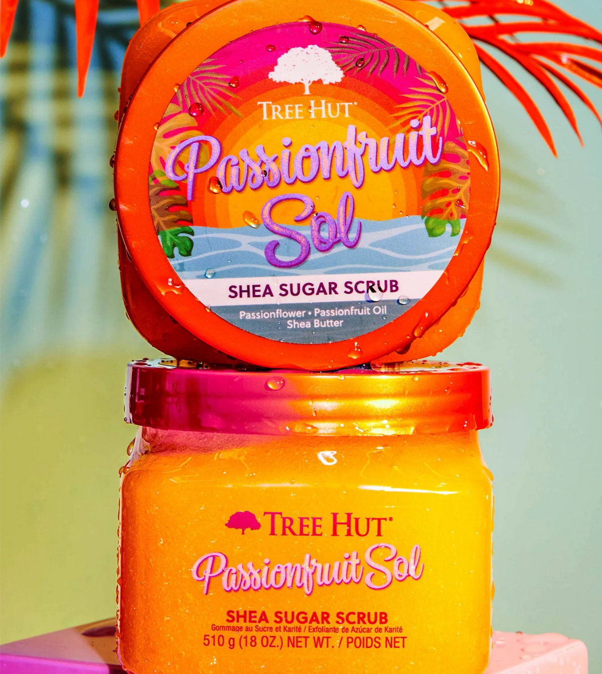 Tree Hut Shea Sugar Passionfruit Sol